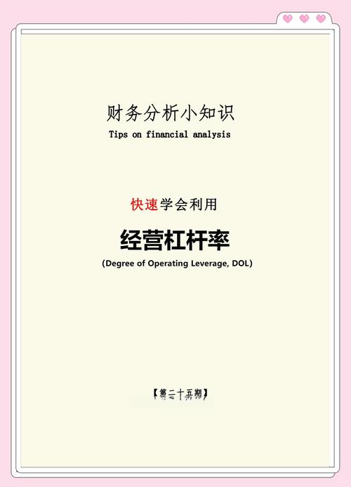 恒指杠杆风险分析_股票怎么上杠杆_恒指杠杆作用
