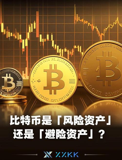 比特币属高风险资产非避险，年轻人加杠杆炒币危险几何？