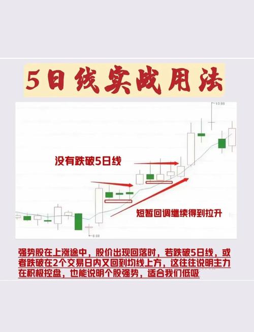 股票入门基础知识_新手炒股风险_股票怎么玩