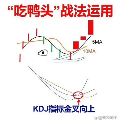 炒股赚钱关键就这三点！老股民血泪经验告诉你大机会咋抓？