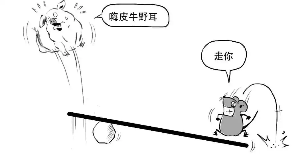融资交易流程_融资融券是什么意思_融资融券交易