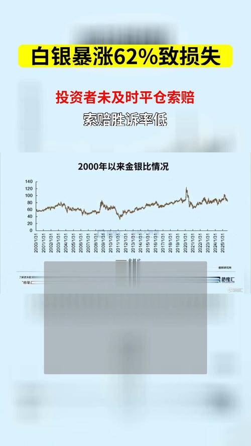 白银杠杆投资风险_黄金杠杆投资风险_股票杠杆怎么操作