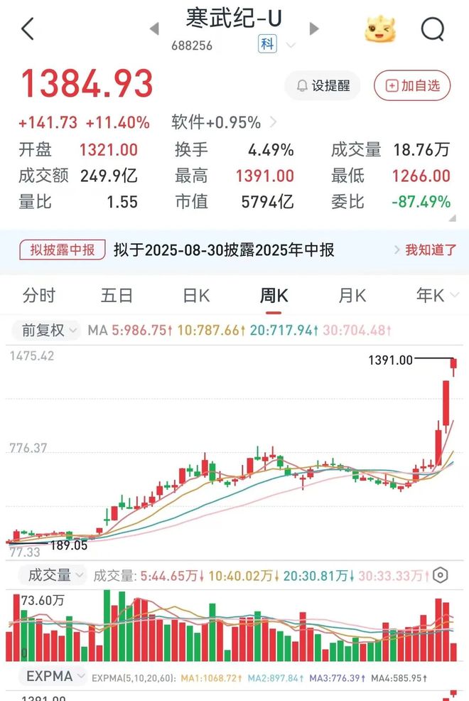 寒武纪投资分析_炒股票配资_A股散户投资价值